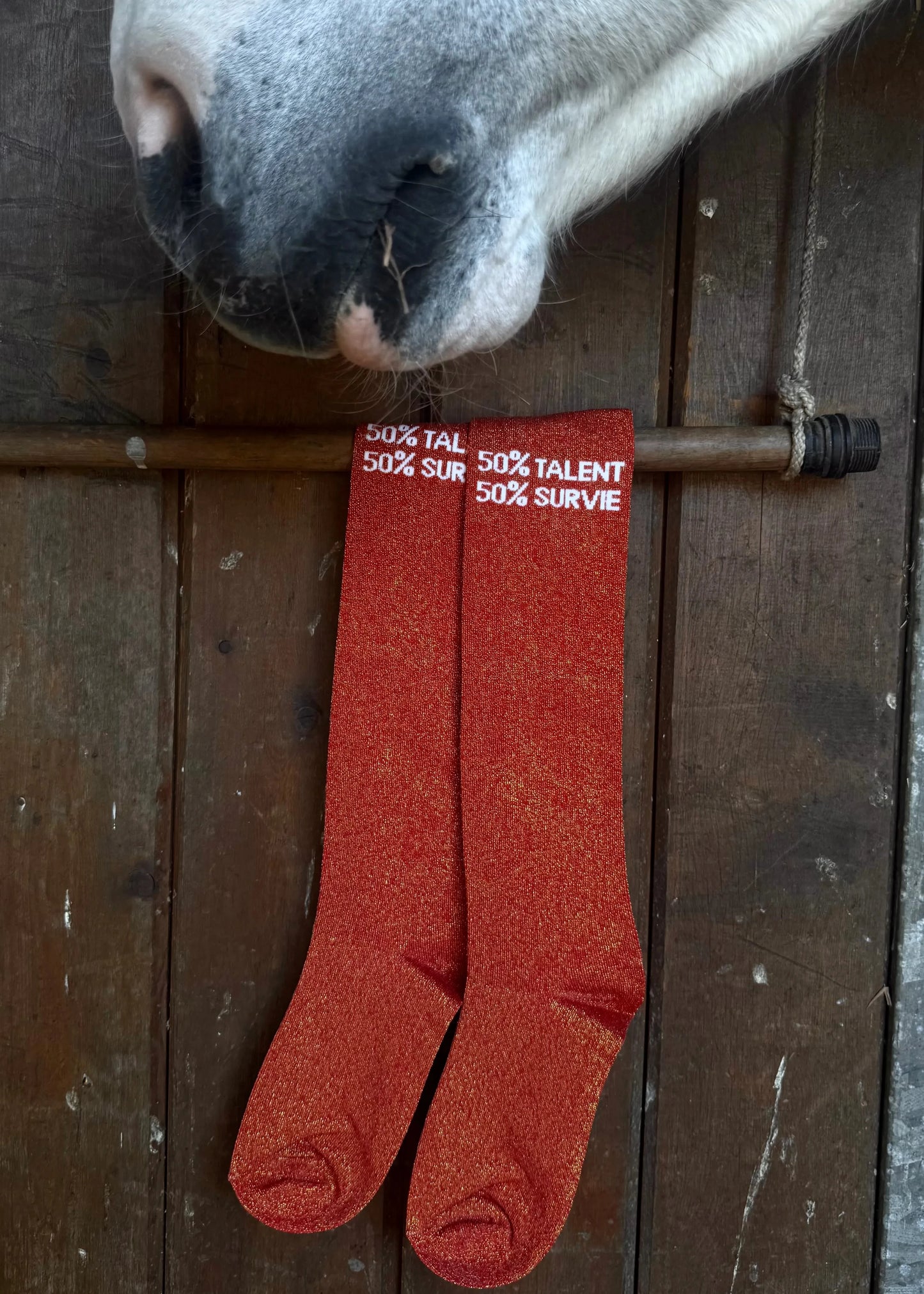 Chaussettes d'Équitation "50% TALENT 50% SURVIE"